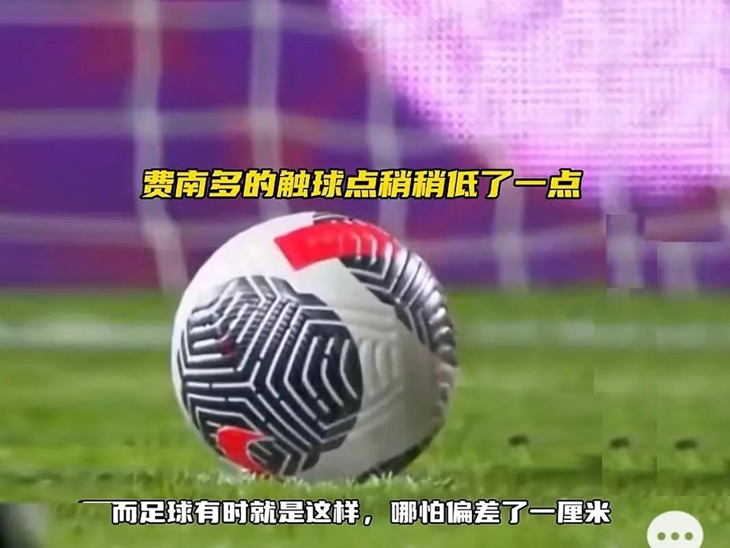 不仅因其在